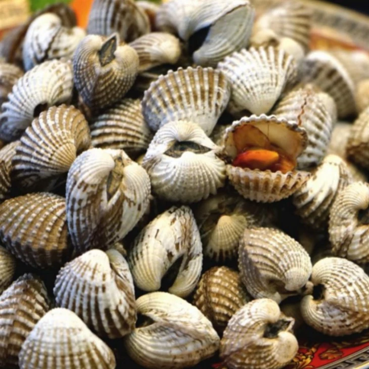 Frozen Cockles
