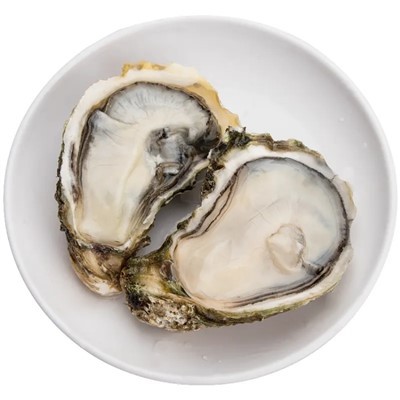 محار نصف صدفة مجمد