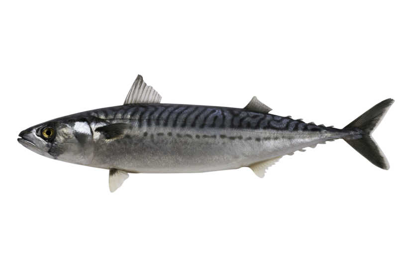 NDbANWXCxrsmall NDbANWXCxrsmall