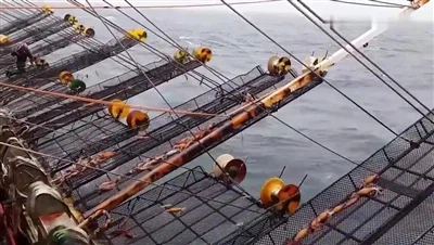 متأثرًا بعطلة عيد الفصح ، شهدت أسعار المواد الخامات العملاقة للمواد الخام انخ...