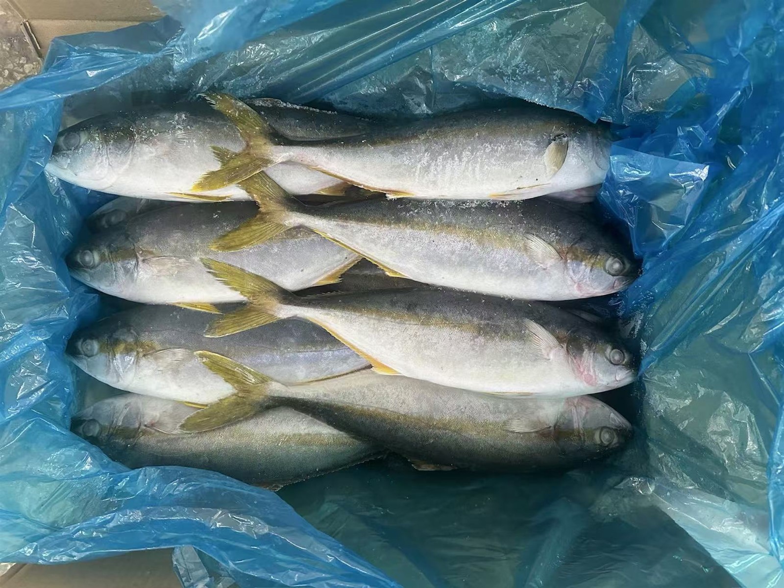 20241217134954 20241217134954