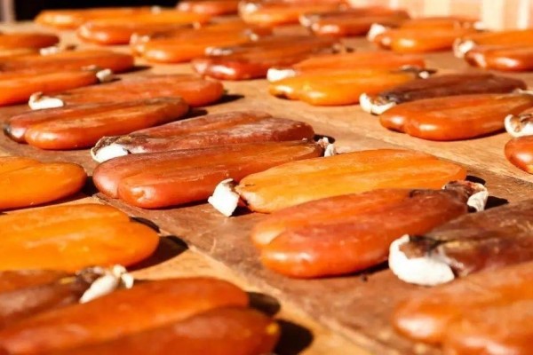 dd04a01ec42c4502b588b44e910a5f19 dd04a01ec42c4502b588b44e910a5f19